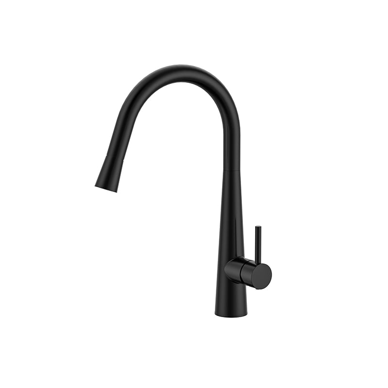 JESS Pull Out Sink Mixer Matte Black