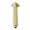 Cavallo 200mm Brushed Yellow Gold Square Ceiling Shower Arm